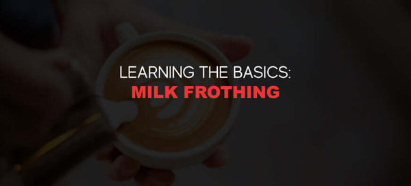 Learning the Basics: Milk Frothing